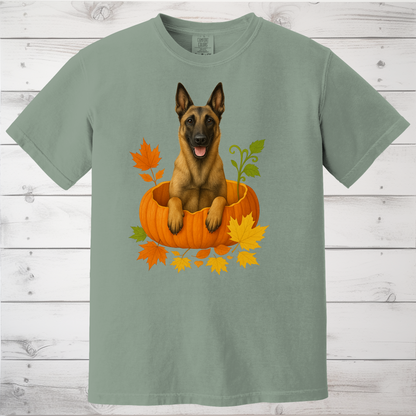 Belgian Malinois in Pumpkin Fall Shirt
