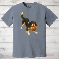 Load image into Gallery viewer, Cavalier King Charles Spaniel Football Sweatshirt – Blenheim, Ruby or Tri-Color Dog Lover Gift

