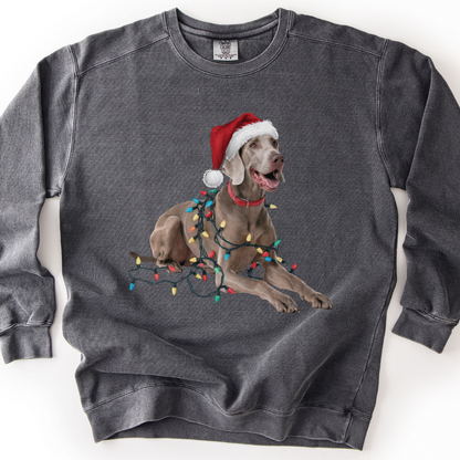 Weimaraner Christmas Lights Sweatshirt, Festive Dog Holiday Apparel