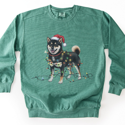 Black Shiba Inu Christmas Lights Sweatshirt, Festive Dog Lover Apparel
