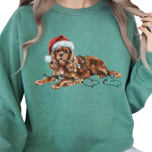 Ruby Cavalier Christmas Lights Sweatshirt