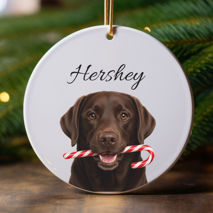 Personalized Chocolate Lab Candy Cane Ornament