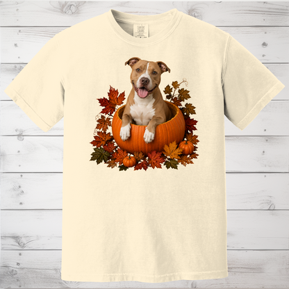 Pitbull Pumpkin Shirt