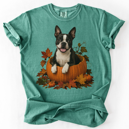 Boston Terrier Pumpkin Shirt, Cute Fall Dog Lover Tee on Comfort Colors