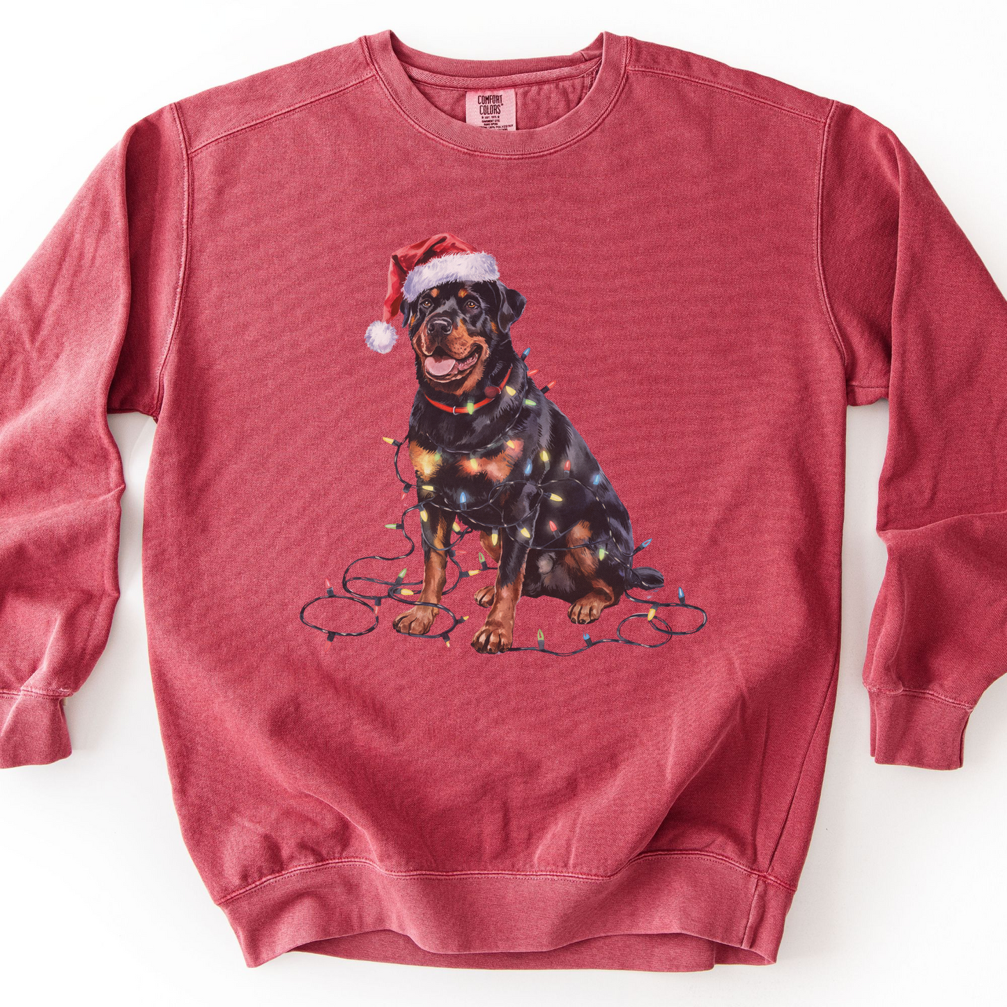 Rottweiler Christmas Lights Sweatshirt, Festive Dog Mom Sweater