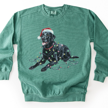 Black Lab Christmas Lights Sweatshirt