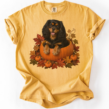 Black and Tan Cavalier Pumpkin Shirt Fall Dog Lover Autumn Comfort Colors Graphic Tee Gift Apparel