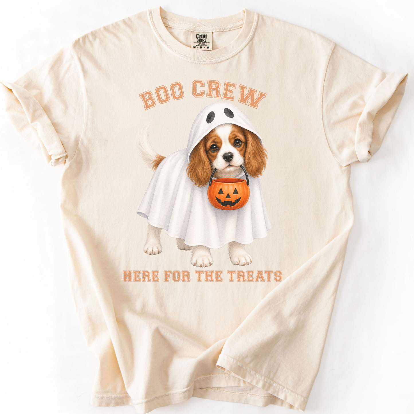 Blenheim Cavalier Boo Crew Halloween Shirt, Here for the Treats Dog Mom Tee