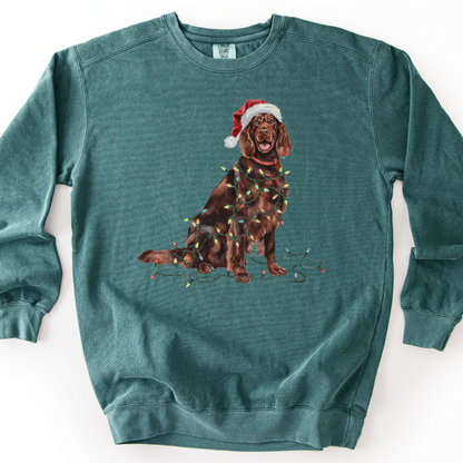 Irish Setter Christmas Lights Sweatshirt
