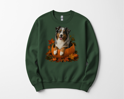 Australian Shepherd Pumpkin Sweatshirt Fall Dog Lover Autumn Puppy Crewneck Cozy Gift Pullover Apparel