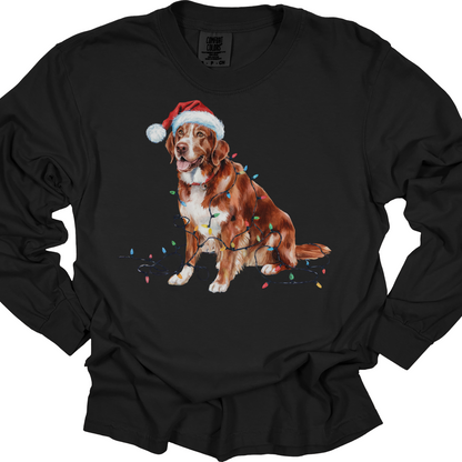 Christmas Nova Scotia Duck Tolling Retriever Long Sleeve Shirt, Festive Dog Lights Tee