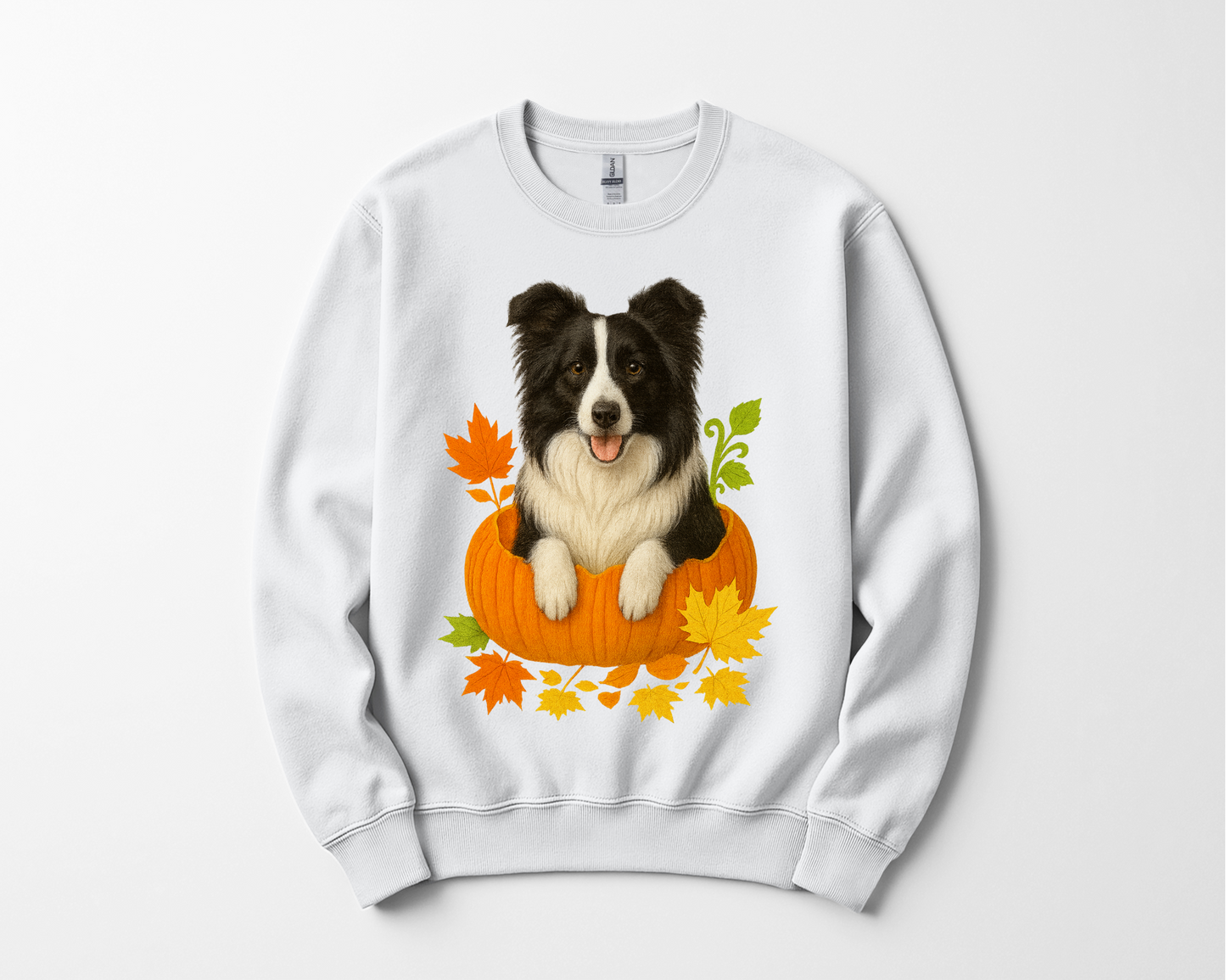 Border Collie in Pumpkin Fall Shirt