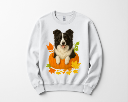 Border Collie in Pumpkin Fall Shirt