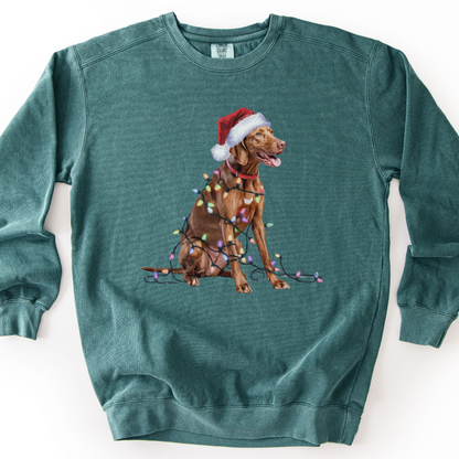 Christmas Vizsla Sweatshirt, Lights Dog Sweater, Vizsla Mom Apparel, Dog Lover Gift