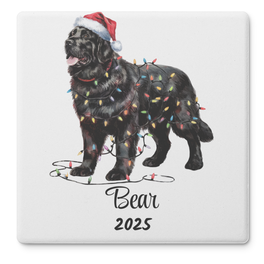 Black Newfoundland Christmas lights Dog Coasters