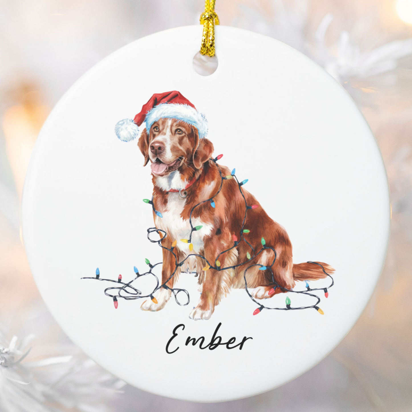 Nova Scotia Duck Tolling Retriever Ornament, Custom Dog Keepsake