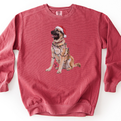 Anatolian Shepherd Christmas Lights Sweatshirt, Holiday Dog Lover Gift