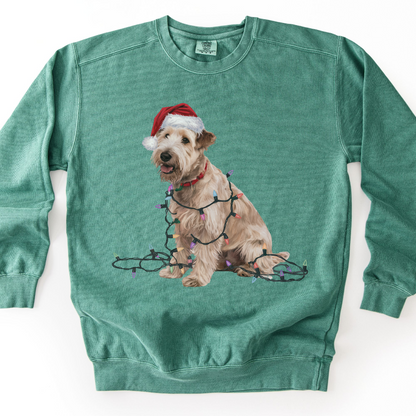 Soft Coated Wheaten Terrier Christmas Lights Sweatshirt, Festive Dog Mom Apparel