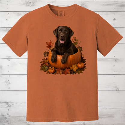 Chocolate Lab Pumpkin Shirt