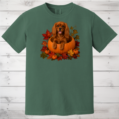 Ruby Cavalier Pumpkin Shirt