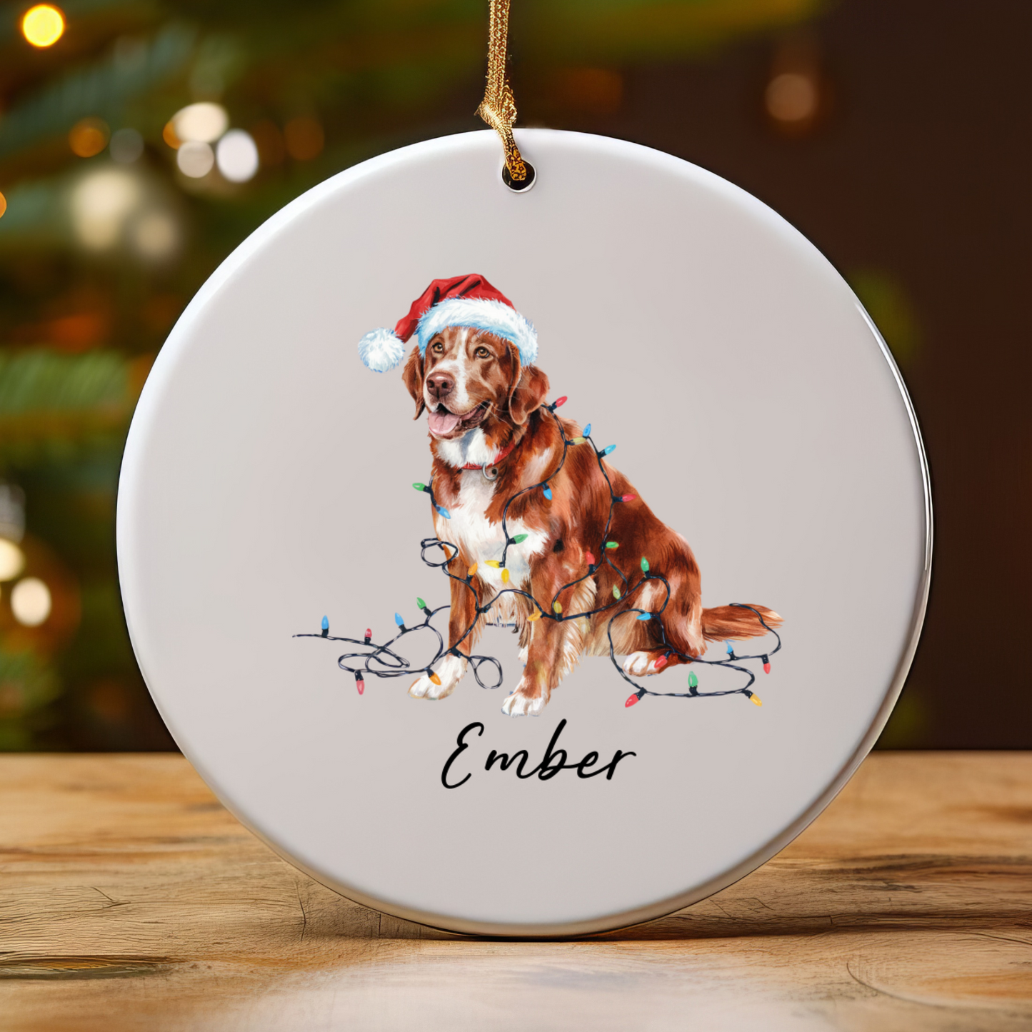 Nova Scotia Duck Tolling Retriever Ornament, Custom Dog Keepsake