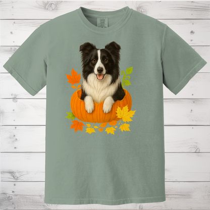 Border Collie in Pumpkin Fall Shirt