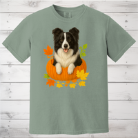 Load image into Gallery viewer, Border Collie in Pumpkin Fall Shirt
