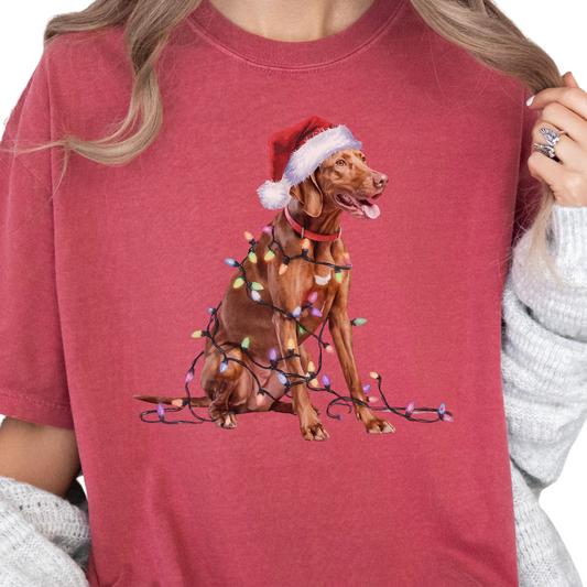 Vizsla Christmas Lights Shirt, Festive Holiday Tee for Bird Dog Lovers