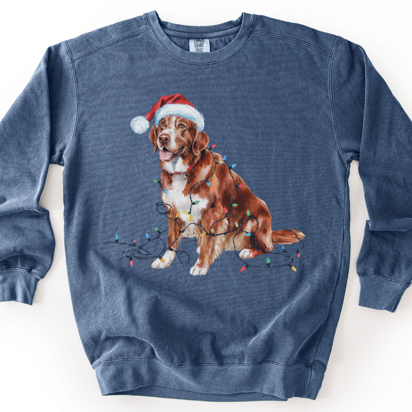 Nova Scotia Duck Tolling Retriever Christmas Sweatshirt, Festive Lights Dog Sweater
