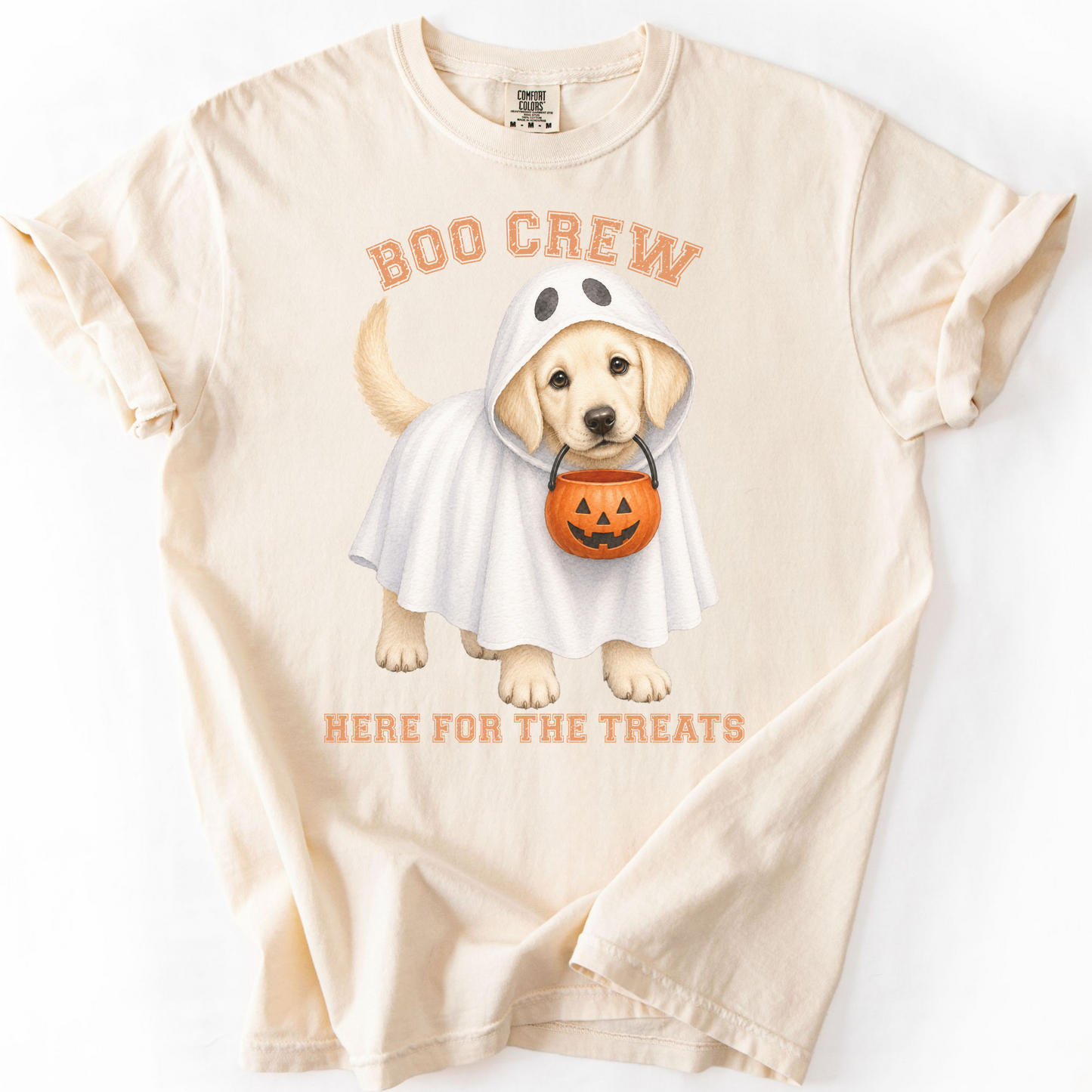 English Cream Golden Boo Crew Halloween Shirt, Here for the Treats Dog Mom Tee
