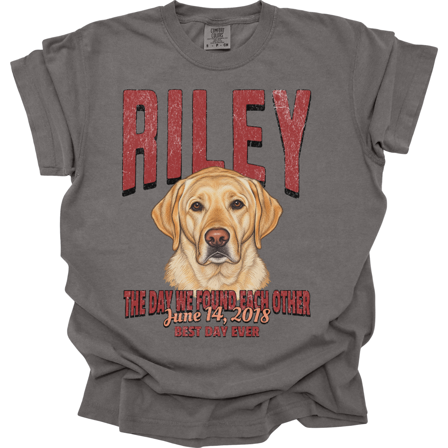 Personalized Gotcha Day Shirt, Custom Pet Portrait Tee, Dog Adoption Anniversary Gift