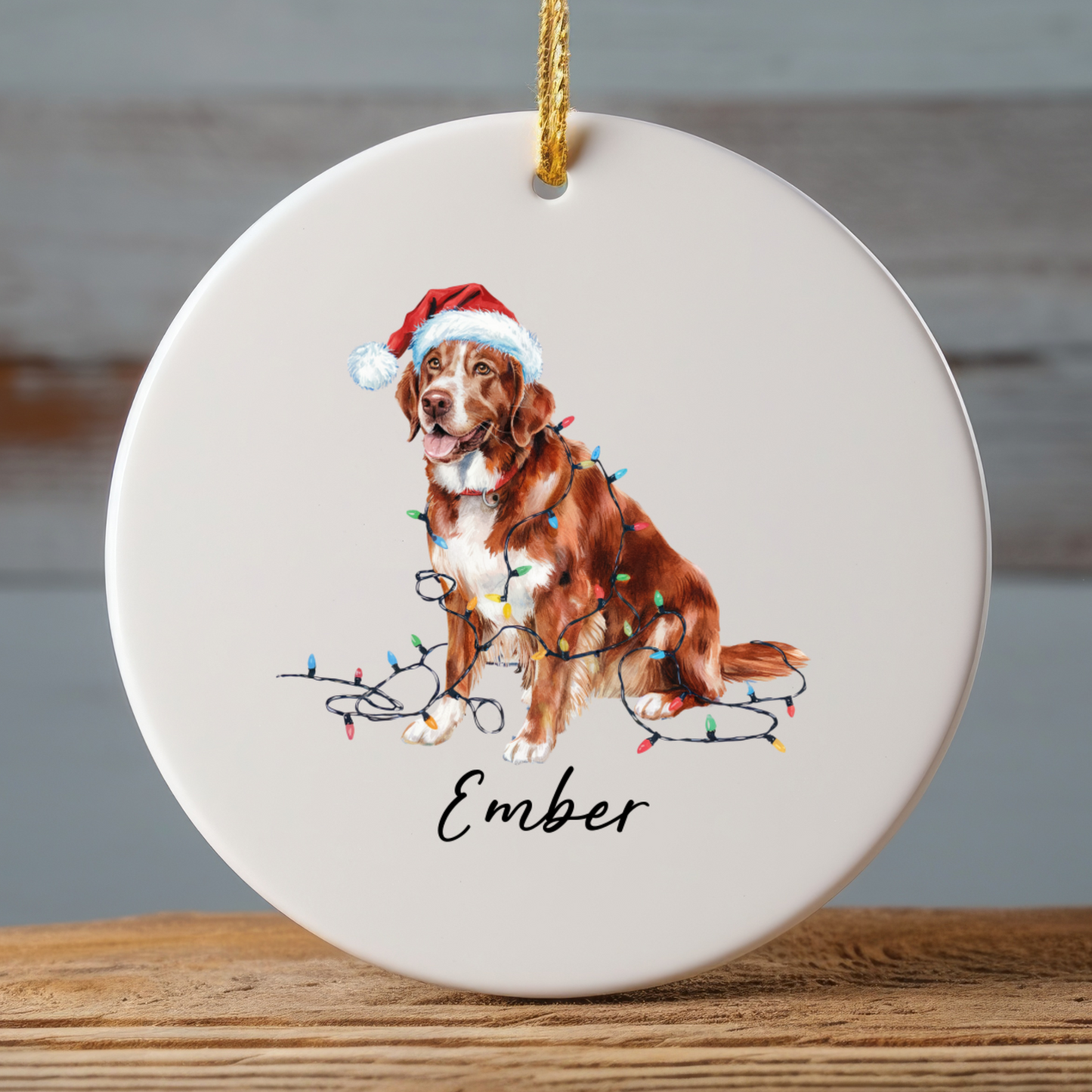 Nova Scotia Duck Tolling Retriever Ornament, Custom Dog Keepsake
