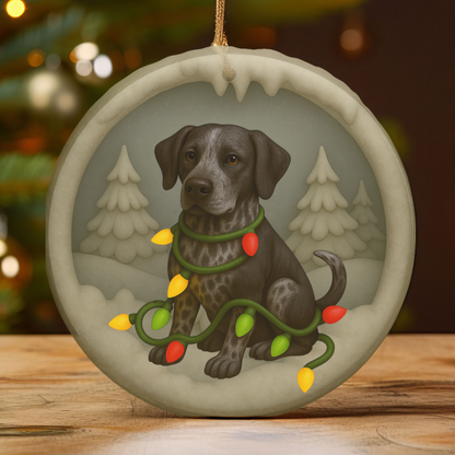 Personalized Black German Shorthaired Pointer Christmas Ornament, 3D Clay-Style Dog Keepsake with Lights