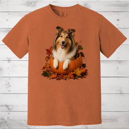 Collie Pumpkin Shirt