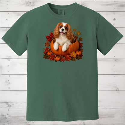 Blenheim Cavalier Pumpkin Shirt