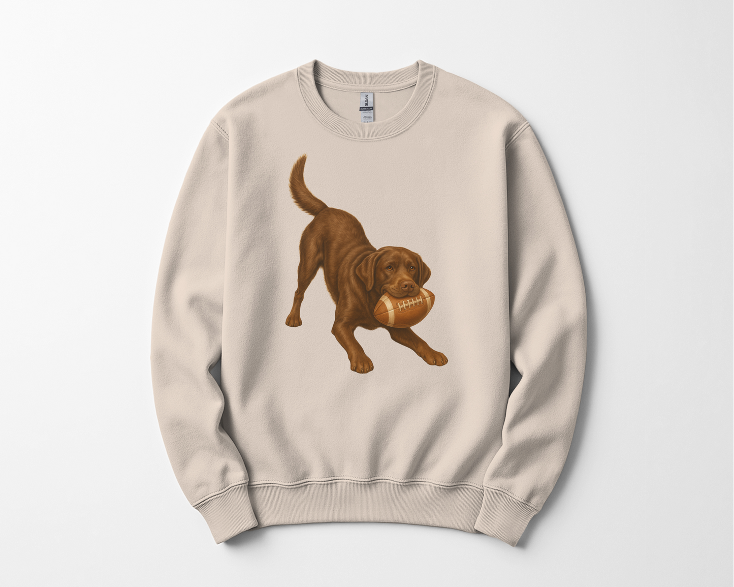 Chocolate Lab Football Sweatshirt