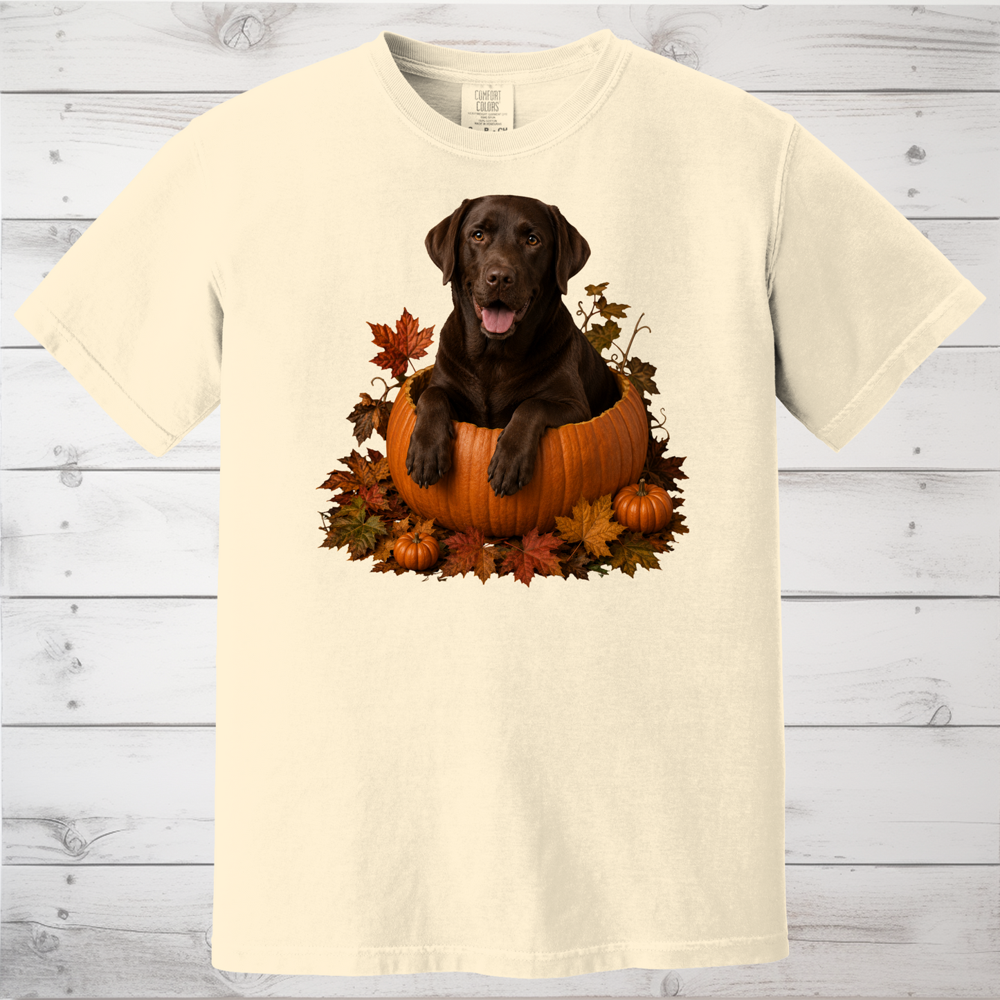 Chocolate Lab Pumpkin Shirt