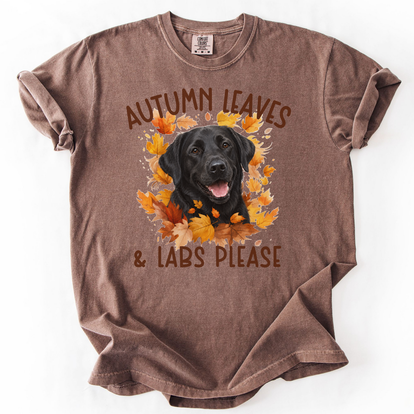 Black Lab Mom Fall Shirt, Autumn Leaves & Labs Please