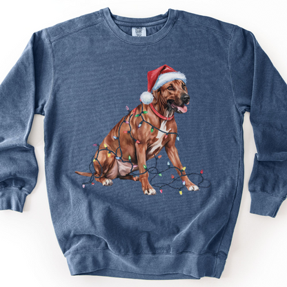 Rhodesian Ridgeback Christmas Lights Dog Sweatshirt, Festive Holiday Pet Lover Gift