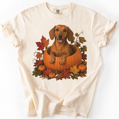 Red Dachshund Pumpkin Shirt Fall Dog Lover Autumn Comfort Colors Graphic Tee Gift Apparel