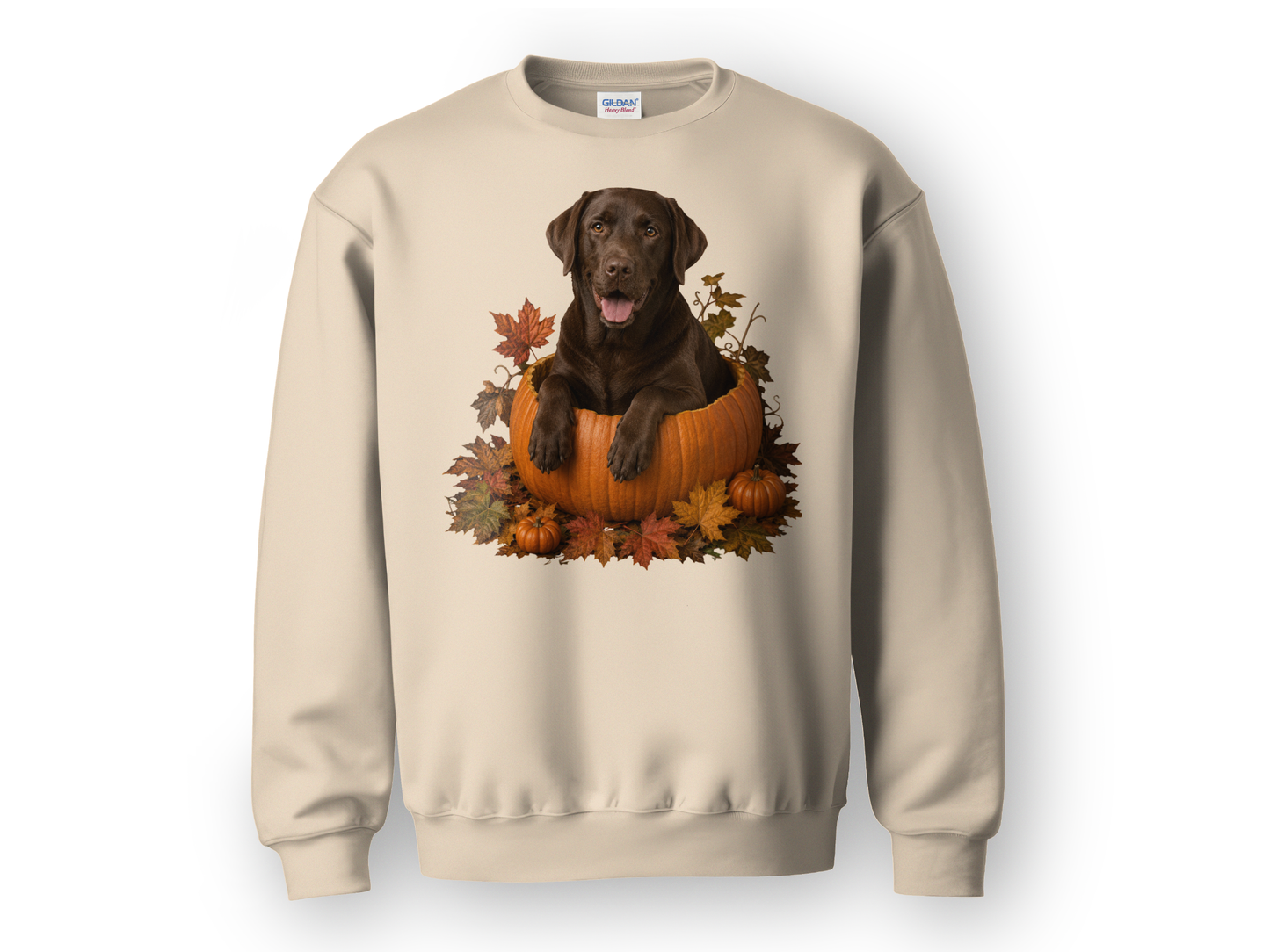 Chocolate Lab Pumpkin Sweatshirt Fall Dog Lover Autumn Labrador Cozy Crewneck Gift Pullover Apparel