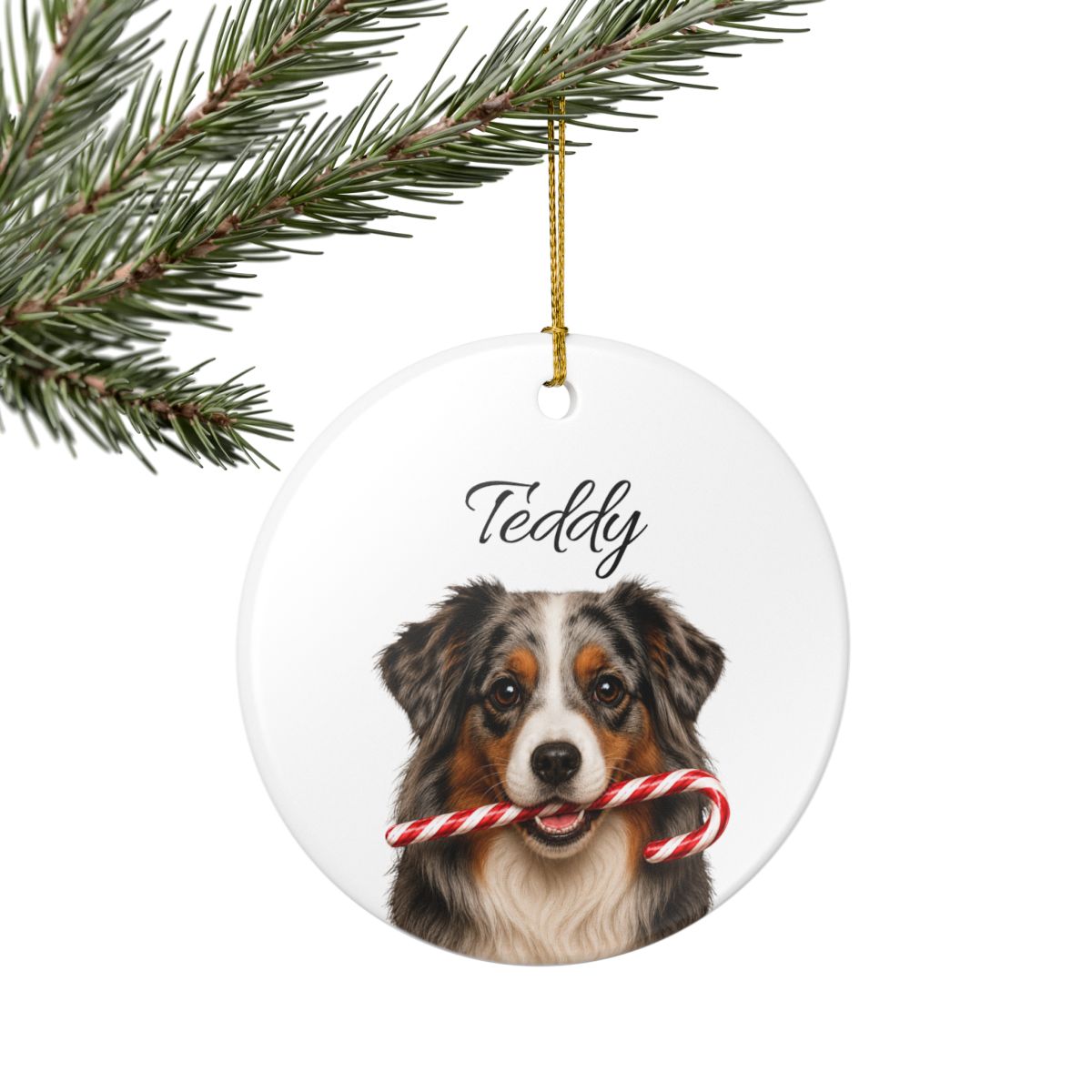 Personalized Australian Shepherd Candy Cane Ornament
