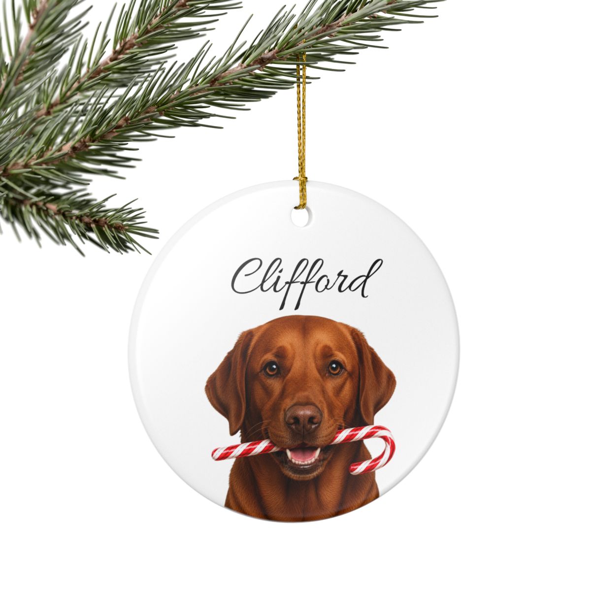 Personalized Fox Red Lab Candy Cane Ornament