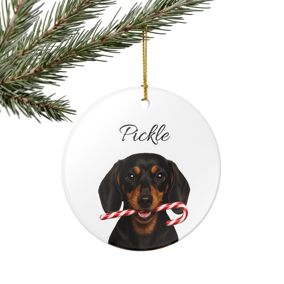 Personalized Black and Tan Dachshund Candy Cane Ornament
