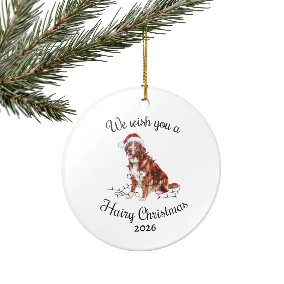 Christmas Nova Scotia Duck Tolling Retriever Ornament, Christmas Lights Dog Keepsake