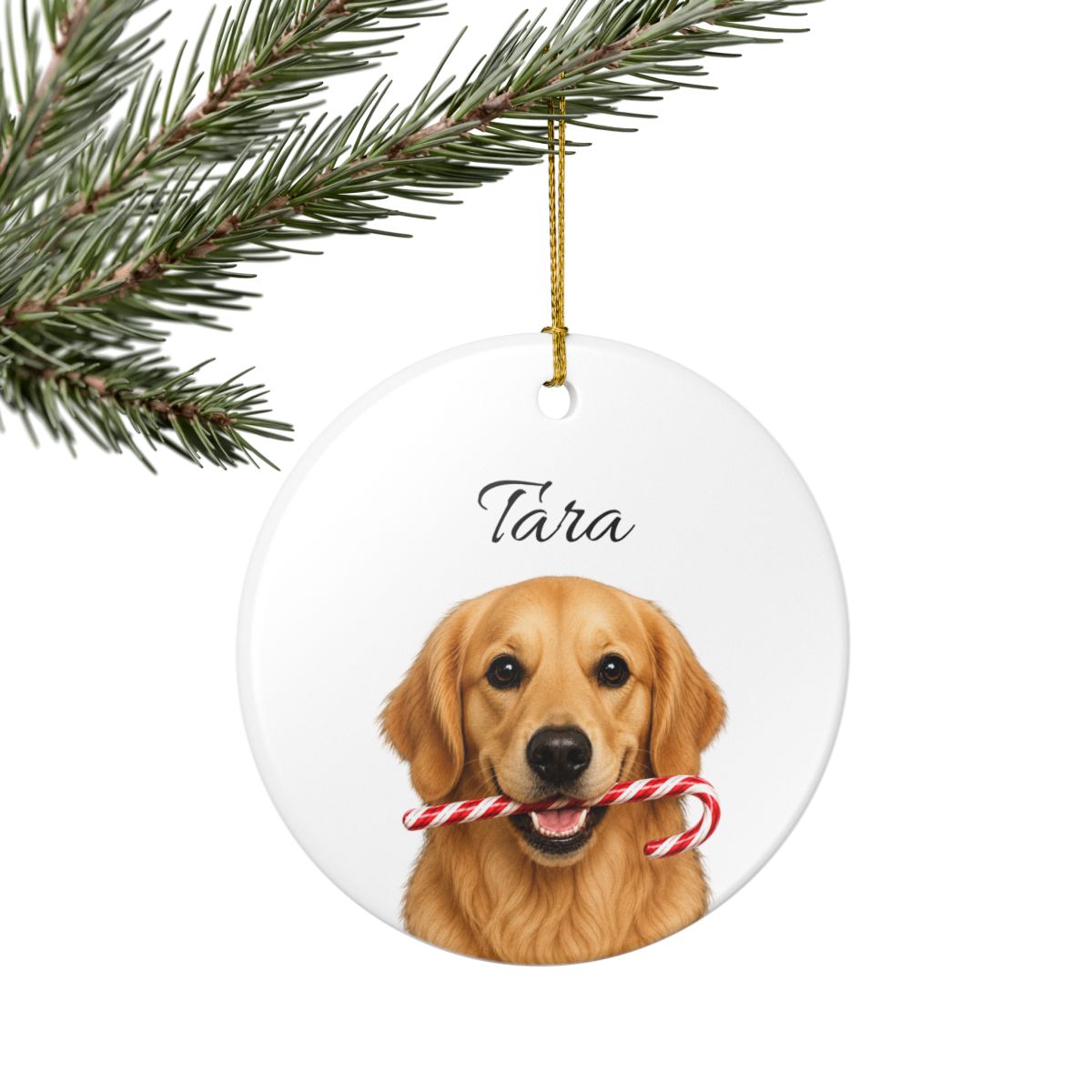 Personalized Golden Retriever Candy Cane Ornament