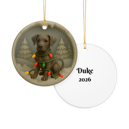 Personalized Great Dane Christmas Ornament • 3D Clay-Style Dog Keepsake with Lights