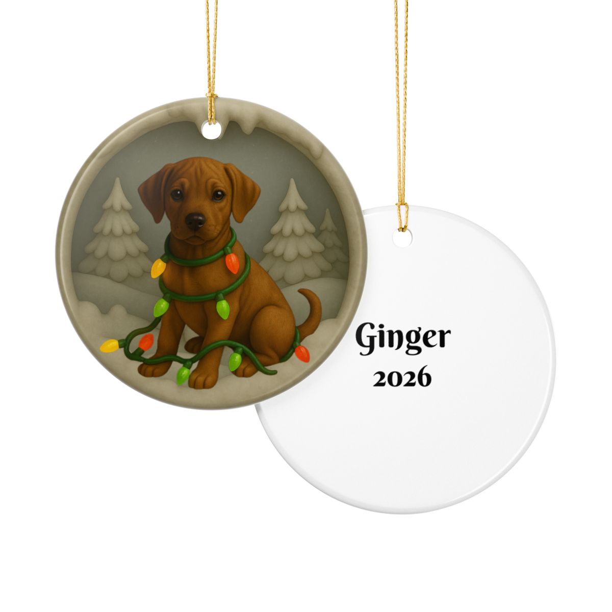 Personalized Rhodesian Ridgeback Christmas Ornament, 3D Clay-Style Dog Keepsake with Lights
