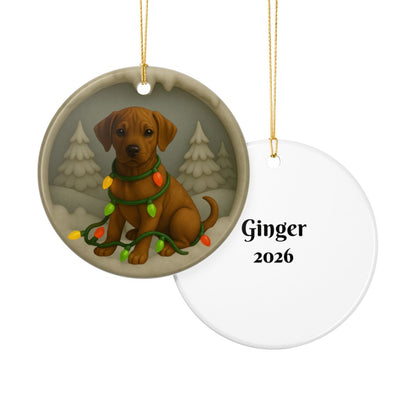 Personalized Rhodesian Ridgeback Christmas Ornament, 3D Clay-Style Dog Keepsake with Lights