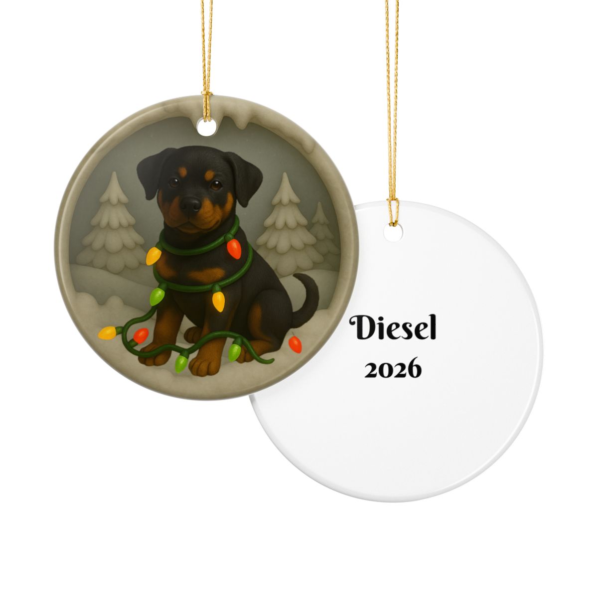 Personalized Rottweiler Christmas Ornament, 3D Clay-Style Dog Keepsake with Lights